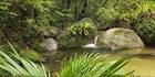 Wurrmbu Creek - Mossman Gorge - QLD T (PBH4 00 17007)